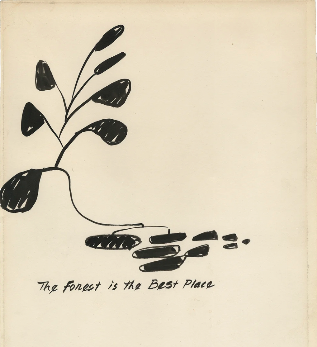 Calder “The Forest is the Best Place” Wire-O Notebook
