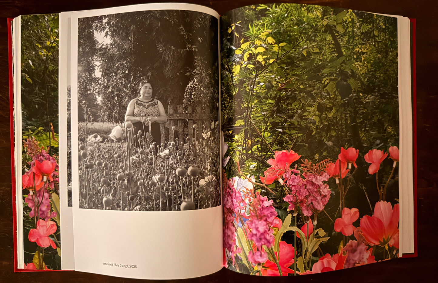Pao Houa Her: The Imaginative Landscape