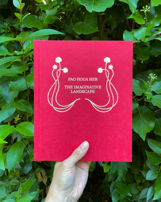 Pao Houa Her: The Imaginative Landscape