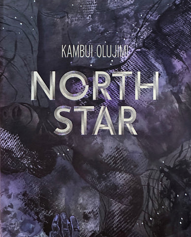 Kambui Olujimi: North Star, Meditations on Boundlessness