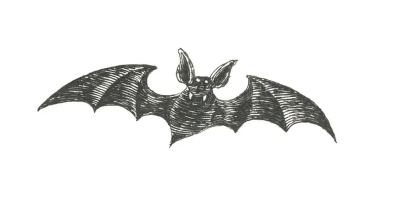 Tattly Vampire Bat Tattoo Pair