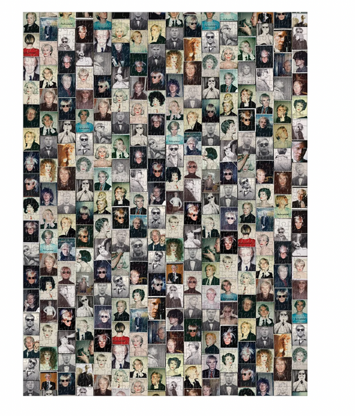 Warhol Polaroid Puzzle