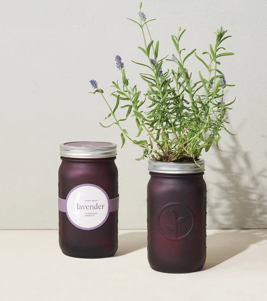 Modern Sprout Garden Jars - Lavender Herbs
