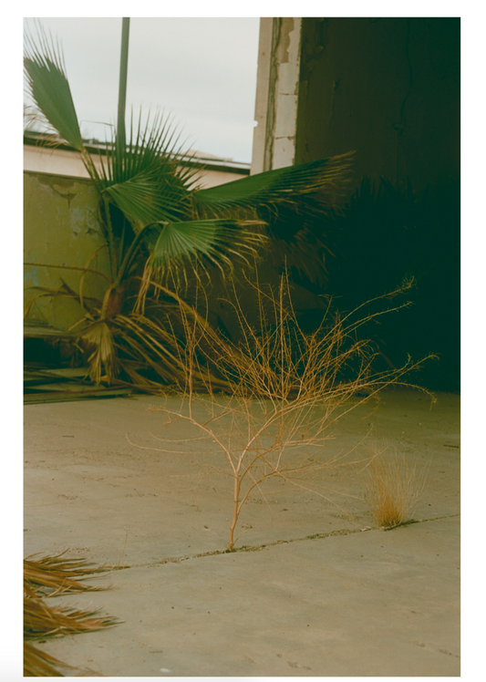 Kelly Akashi: Formations | Signed by Artist, Limited Edition Print